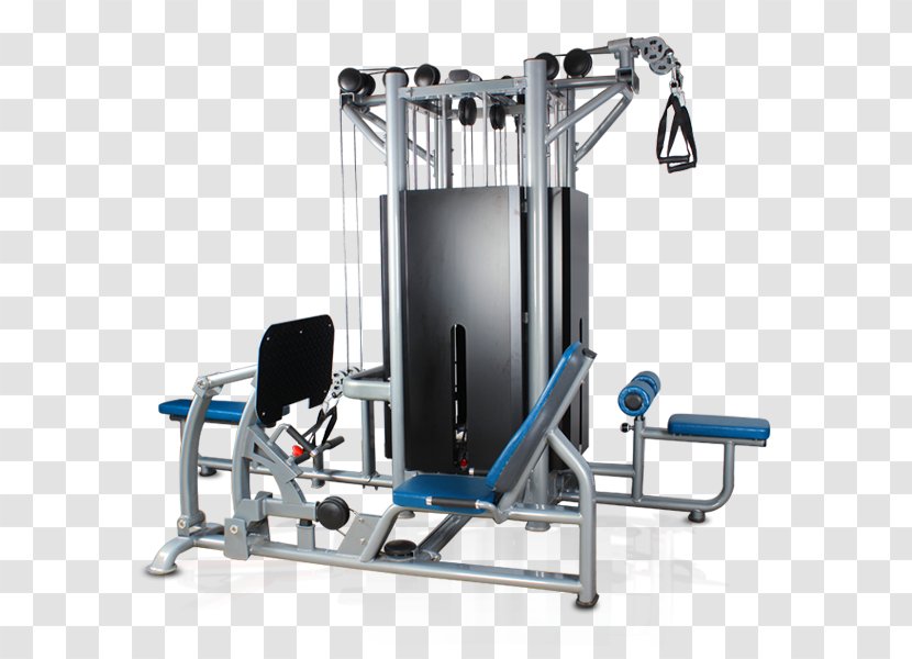 Fitness Centre Exercise Equipment Physical - Gym - Bodybuilding Transparent PNG