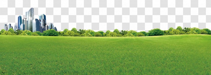 Crop Biome Grassland Rural Area Land Lot - Panorama - The Green Wilderness Of City Transparent PNG