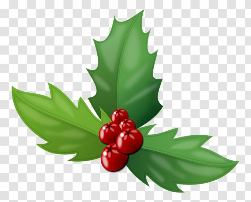 Berry Christmas - Leaf Transparent PNG