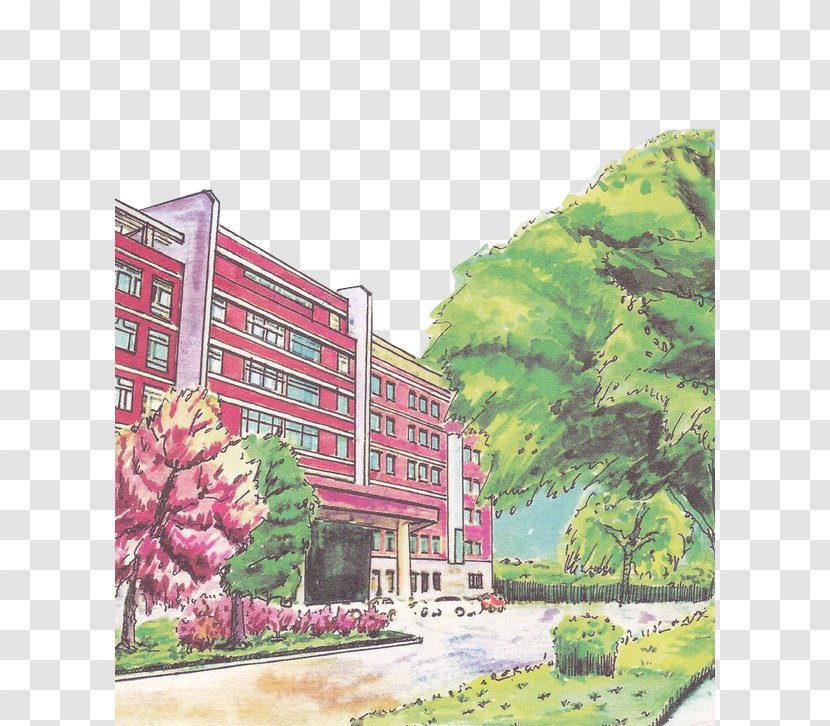 School Building Escuela - Watercolor Paint - Hand Drawn Cartoon Buildings Transparent PNG