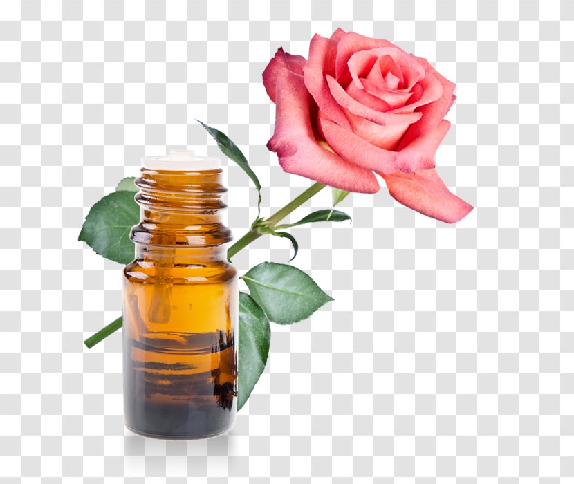 Rose Oil Water Essential Herbal Distillate Transparent PNG