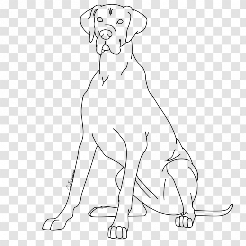 Great Dane Puppy Redbone Coonhound Coloring Book Basset Hound - Heart - Dehaan Transparent PNG