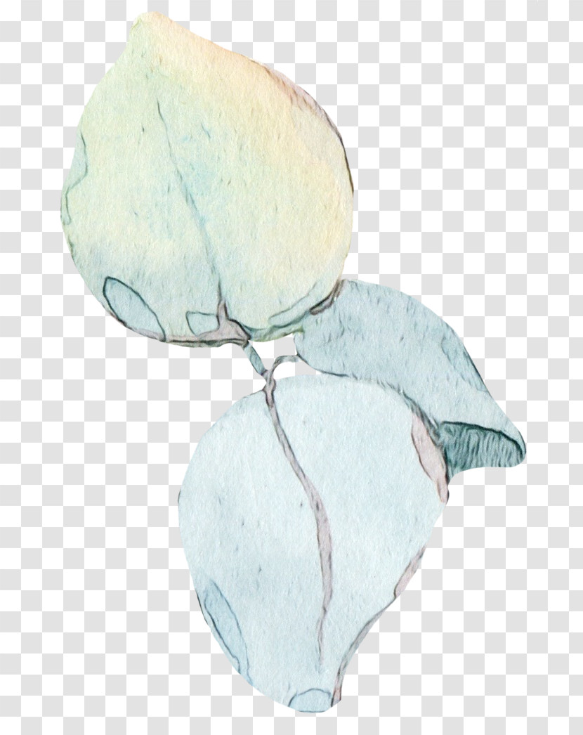 Petal Transparent PNG