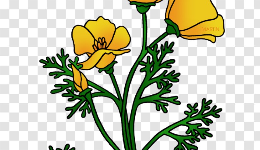 Clip Art Openclipart Drawing Floral Design Free Content - Cut Flowers - Wizard Of Oz Poppies Transparent PNG