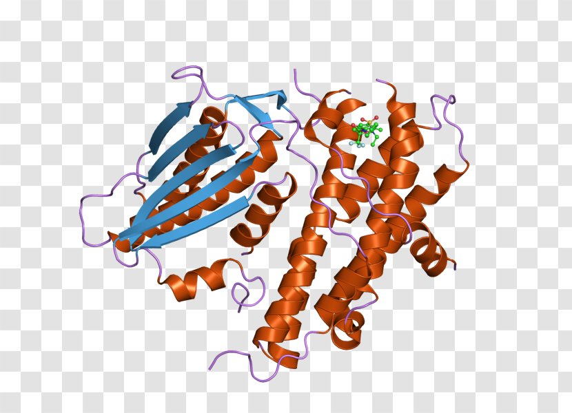 PDK2 Pyruvate Dehydrogenase Kinase Isozyme Art - European Bioinformatics Institute Transparent PNG