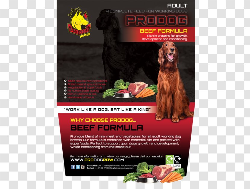 Raw Foodism Shih Tzu Dog Food Feeding Offal - Meat Transparent PNG