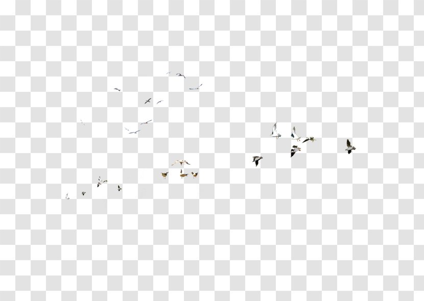 Drawing - Symmetry - Flock Of Birds Transparent PNG