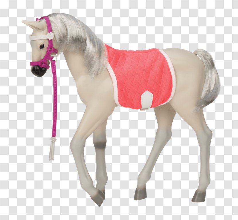 Foal Mustang Lipizzan Lusitano Paso Fino - Horse Transparent PNG