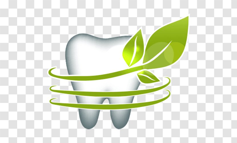 Human Tooth Euclidean Vector Leaf Dentistry - Heart - Leaves Surround The Teeth Transparent PNG
