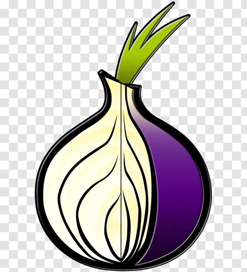 Tor Browser .onion Anonymity Onion Routing - Web Transparent PNG