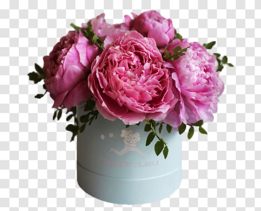 Garden Roses Cabbage Rose Floral Design Cut Flowers Vase Transparent PNG