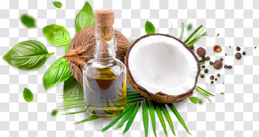 Coconut Oil Cooking Oils Milk - Olive Transparent PNG