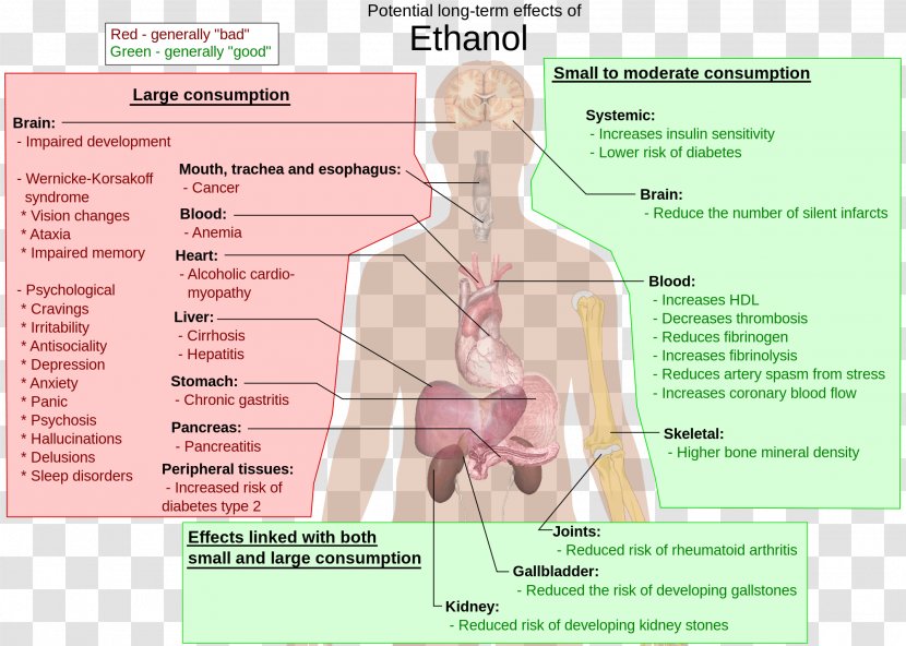 Long-term Effects Of Alcohol Consumption Alcoholism And Health Ethanol Alcoholic Drink - Frame - Liver Transparent PNG