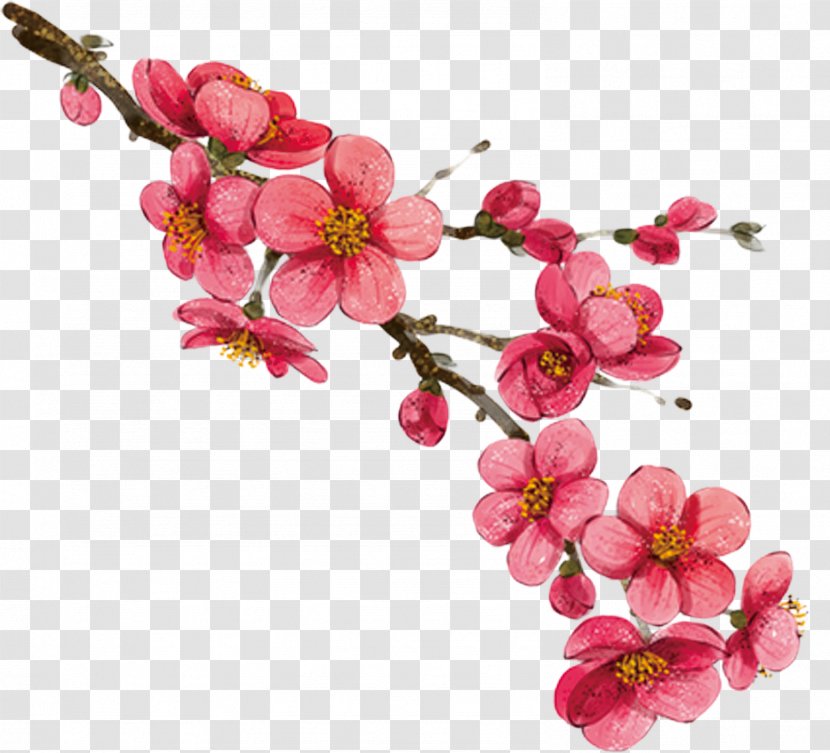Download Cartoon - Blossom - Hand Painted Peach Branches Transparent PNG