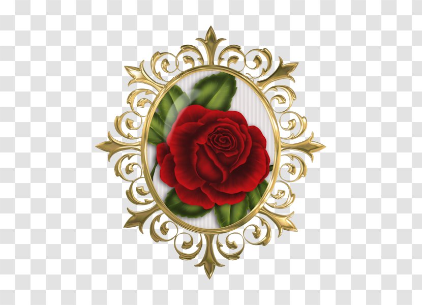 Garden Roses Anniversary Red Wine Rosé Transparent PNG