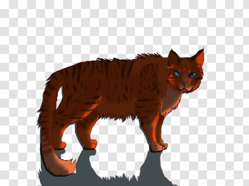 Whiskers Cat Flametail Red Fox Art - Small To Medium Sized Cats Transparent PNG