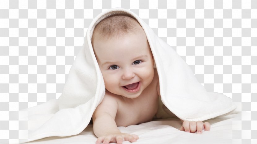 Infant Pregnancy Child Poster Toddler - Tree - Baby Transparent PNG