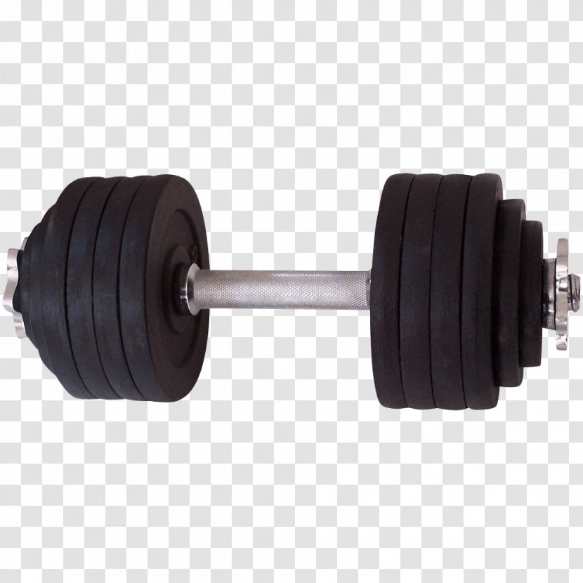 Dumbbell Weight Training Fitness Centre Physical Exercise Barbell - Squat Transparent PNG