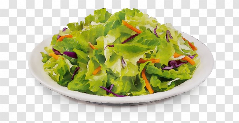 Salad - Lettuce - Ingredient Iceburg Transparent PNG