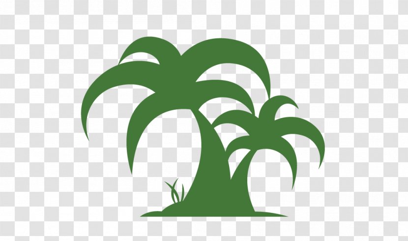 Arecaceae Coconut Tree Clip Art - Flower - Pictures Of Palms Trees Transparent PNG