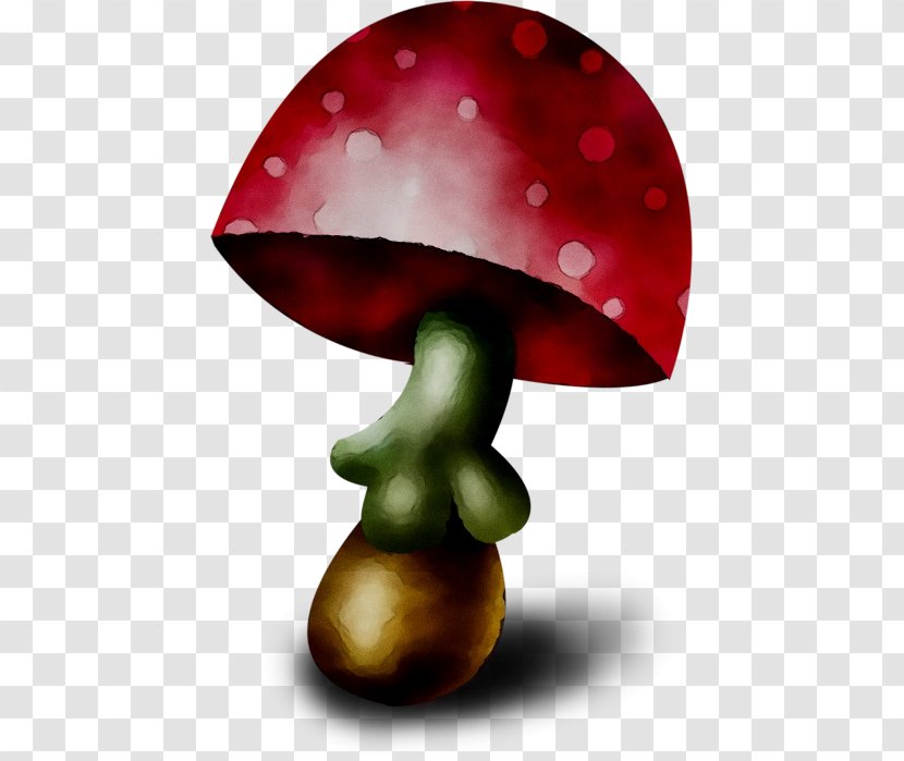 Cartoon Drawing Mushroom Download - Fungus Transparent PNG