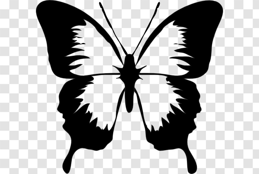 Clip Art Butterfly Openclipart Vector Graphics Free Content - Royaltyfree - Black Clipboard Transparent PNG