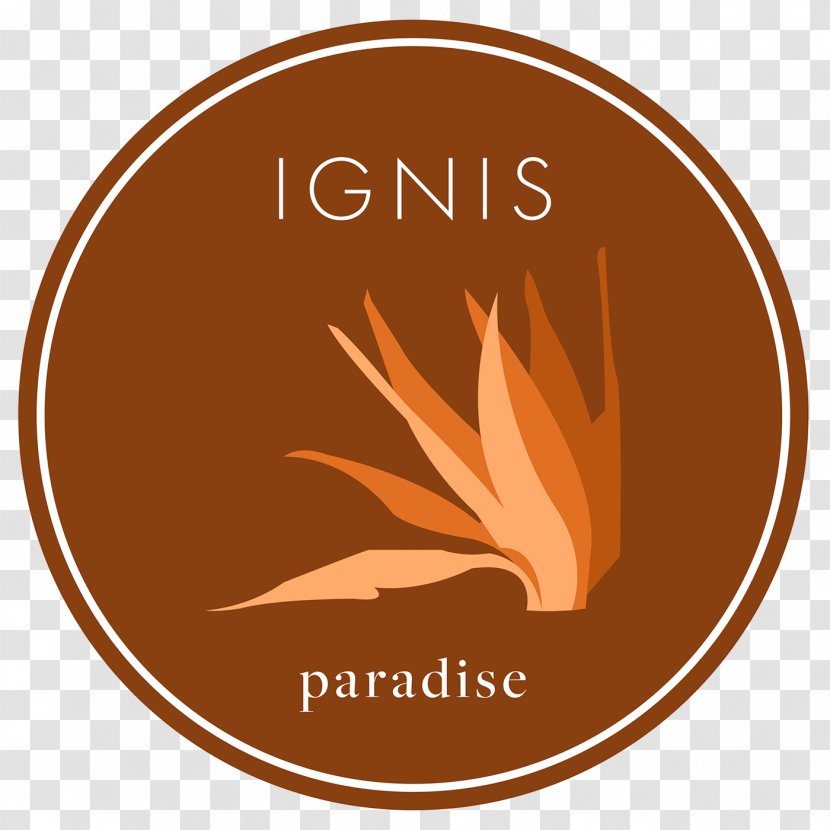 Logo Candle Design Brand Fire - Behance - Ignis Pattern Transparent PNG