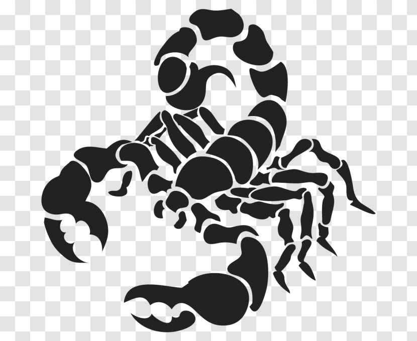 Scorpion Drawing - Invertebrate - Cancer Astrology Transparent PNG