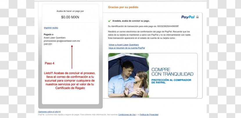 Advertising Web Page Service Media - Paypal Transparent PNG
