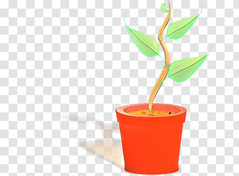 Flowerpot Leaf Plant Houseplant Flower - Tree - Cup Stem Transparent PNG