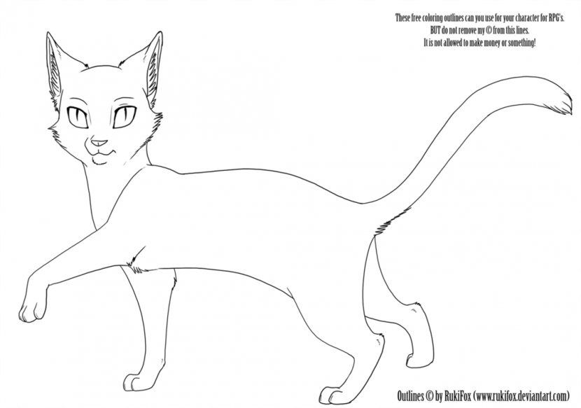 Kitten Whiskers Cat Warriors Sketch - Carnivoran - Template Transparent PNG