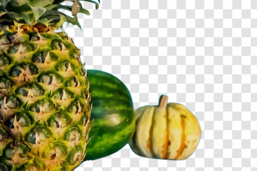 Pineapple - Wet Ink - Ananas Superfood Transparent PNG