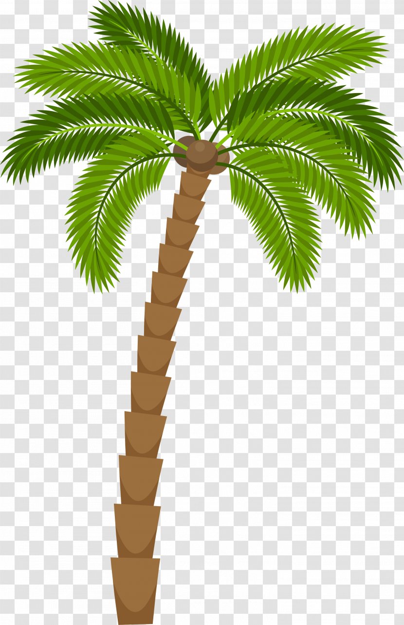 Drawing Silhouette Royalty-free Illustration - Green Cartoon Coconut Tree Transparent PNG