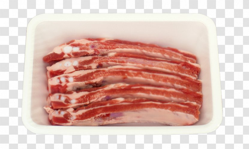 Back Bacon Bratwurst Domestic Pig Sheep Beef - Silhouette Transparent PNG