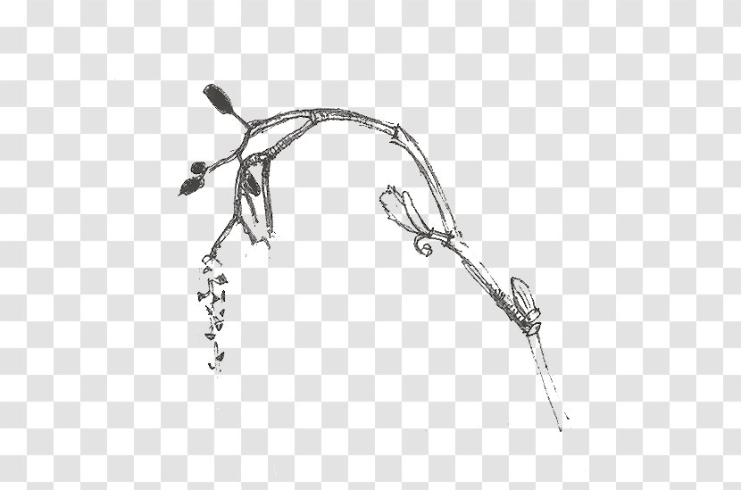 Drawing Line Body Jewellery Angle - Arm Transparent PNG