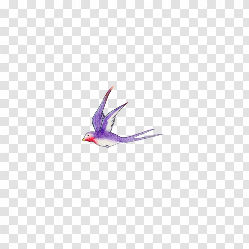 Feather - Violet Transparent PNG