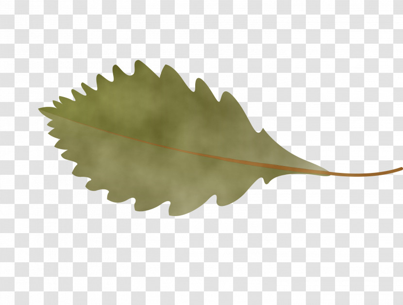 Leaf Plants Biology Science Plant Structure Transparent PNG