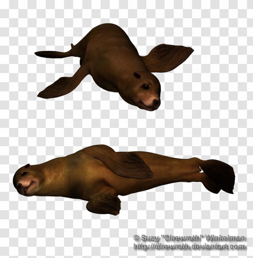 Sea Lion Marine Mammal Animal Horse - Under Transparent PNG