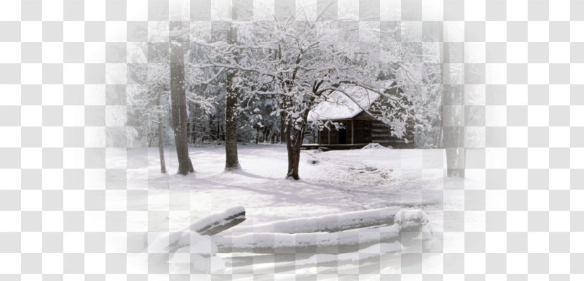 Desktop Wallpaper Winter Image Snow High-definition Television - Cold - Huile Et Aquarelles Transparent PNG