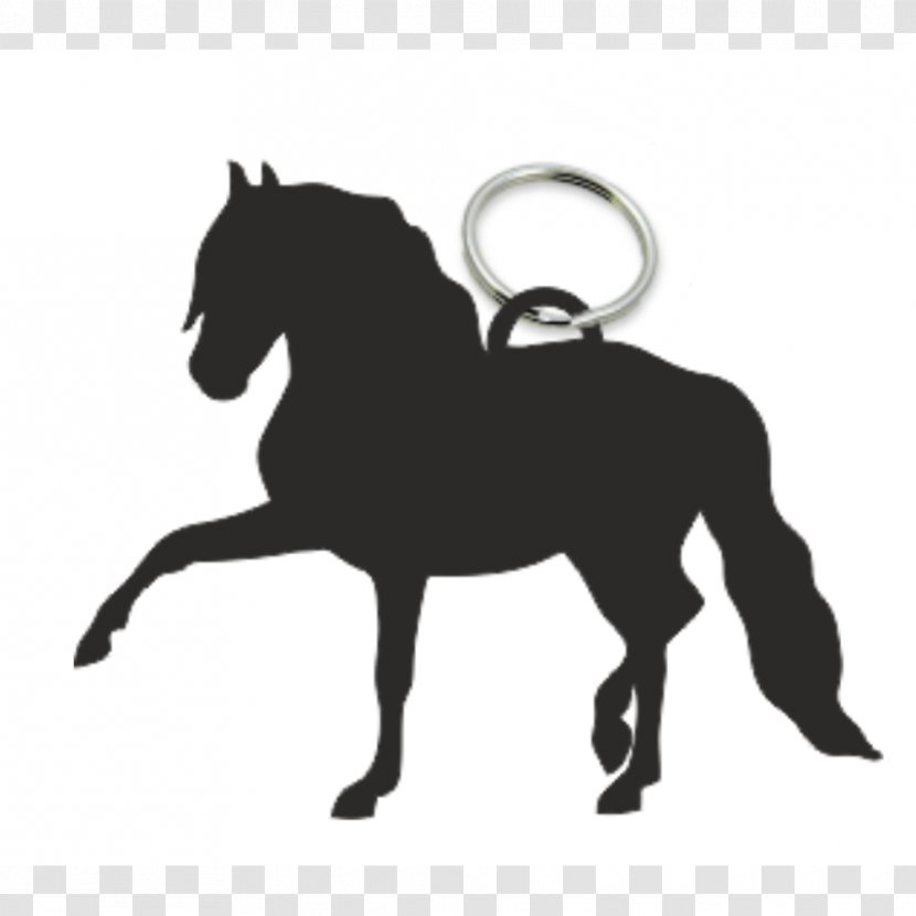 Andalusian Horse Wall Decal Sticker Equestrian - Supplies - Rosette Transparent PNG