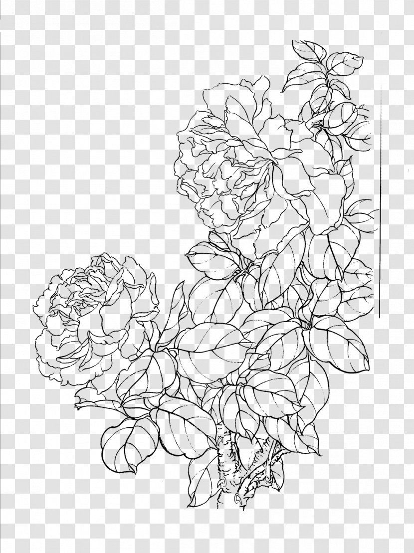 Drawing Rosa Chinensis Gongbi Moutan Peony - Flower Artwork Transparent PNG
