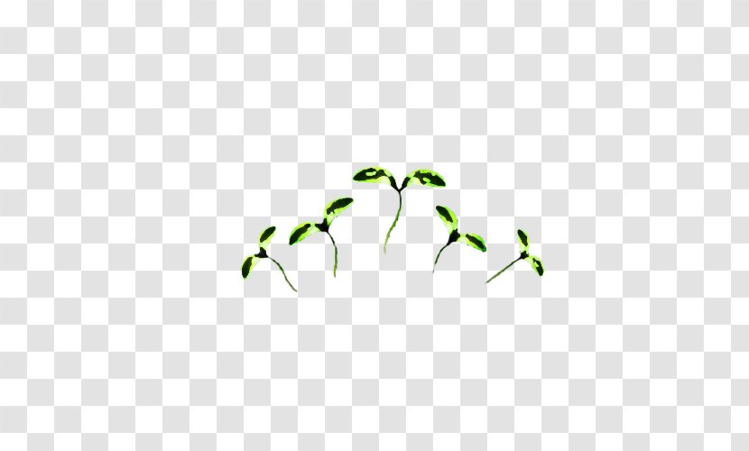 Leaf Green Plant Branch Stem - Twig Transparent PNG