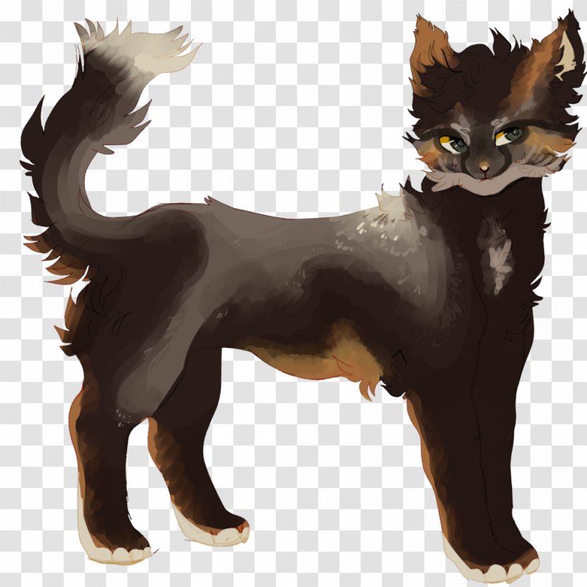 Whiskers Puppy Cross Fox Dog Kitten - Breed Group Transparent PNG