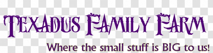 Logo Brand Line Font - Kids Farm Transparent PNG