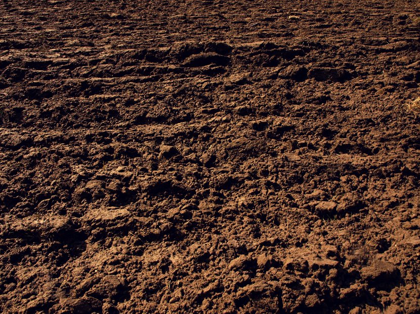 Soil Photography Texture Clay - Sand - Dirt Transparent PNG