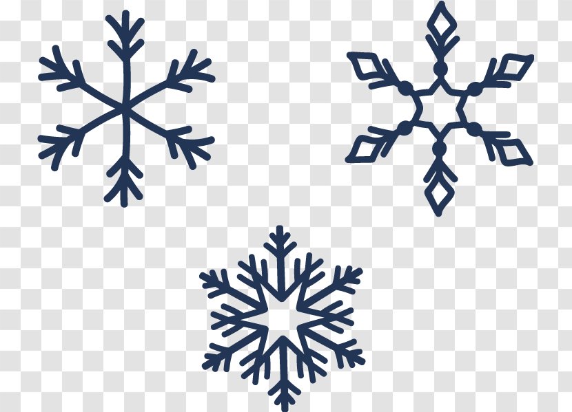 Vector Graphics Snowflake Illustration Royalty-free Stock Photography - Symmetry - Free Transparent PNG