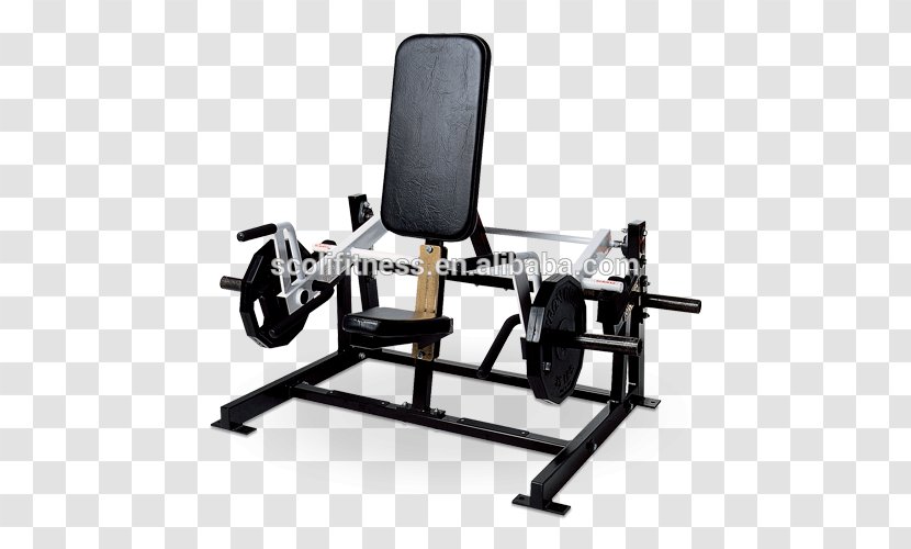 Strength Training Exercise Equipment Bench Fitness Centre Biceps Curl - Barbell Transparent PNG