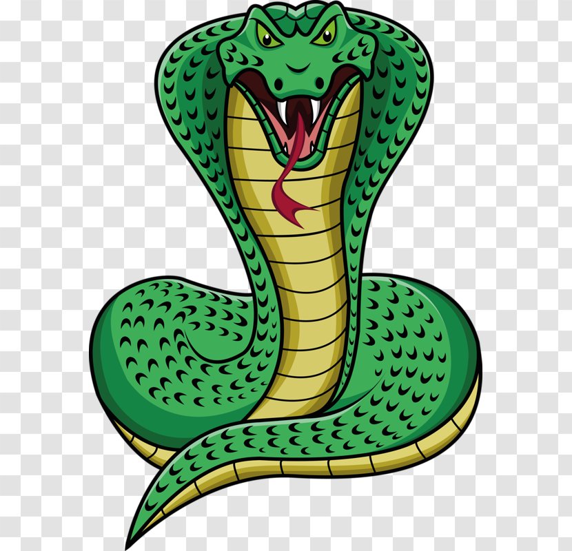 Snake Drawing Cobra Clip Art - Reptile - Anaconda Transparent PNG