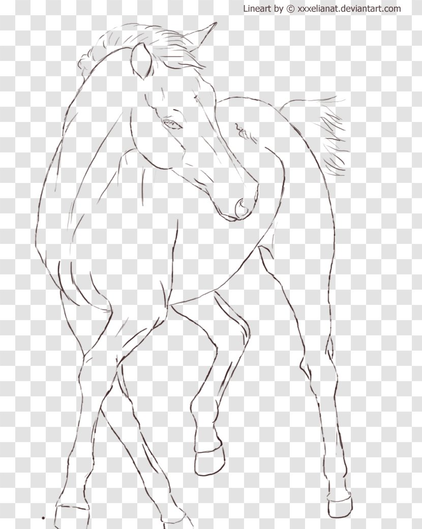 Horse Pony Line Art Drawing Stallion - Pack Animal Transparent PNG