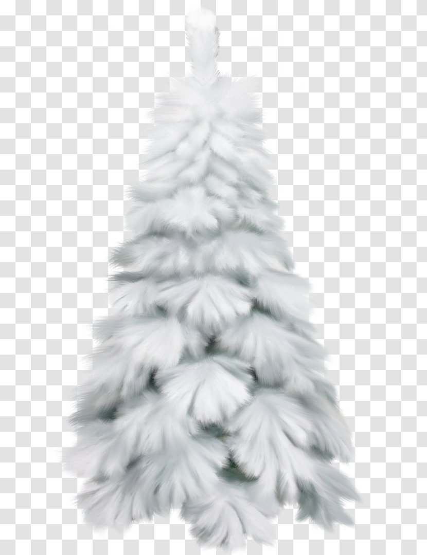 Christmas Tree - Conifer Pine Transparent PNG